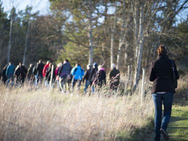 Foto av människor som går i naturen.